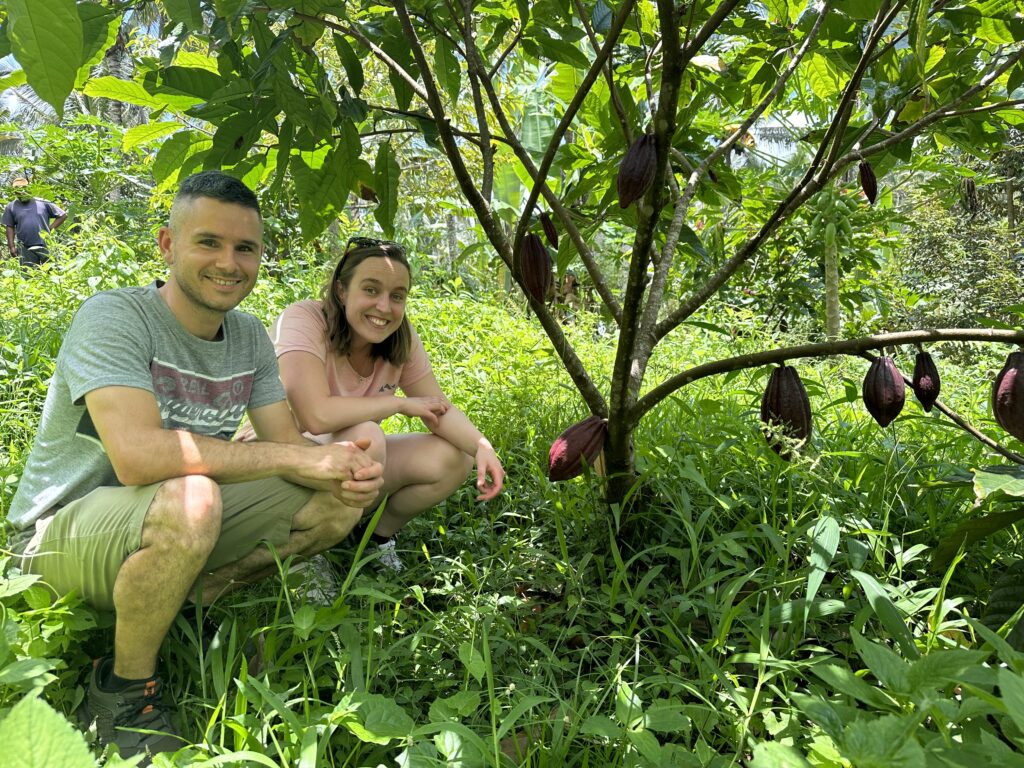 William et cindy - Windy chocolate factory