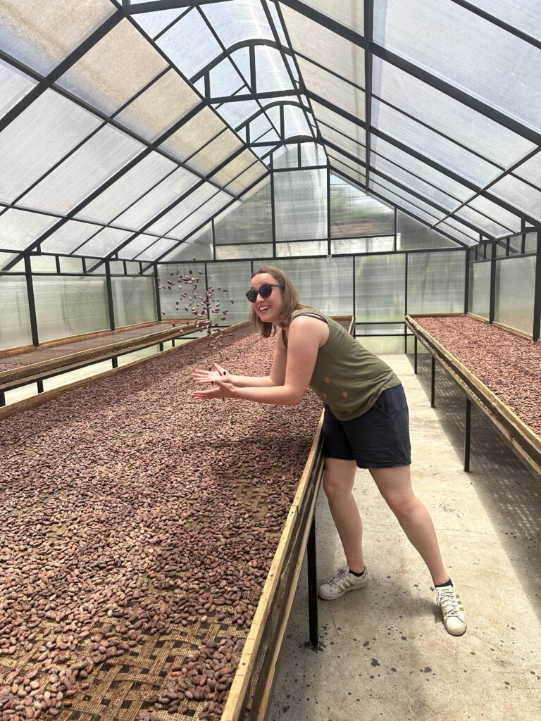 Cindy et cabosses - Windy chocolate factory